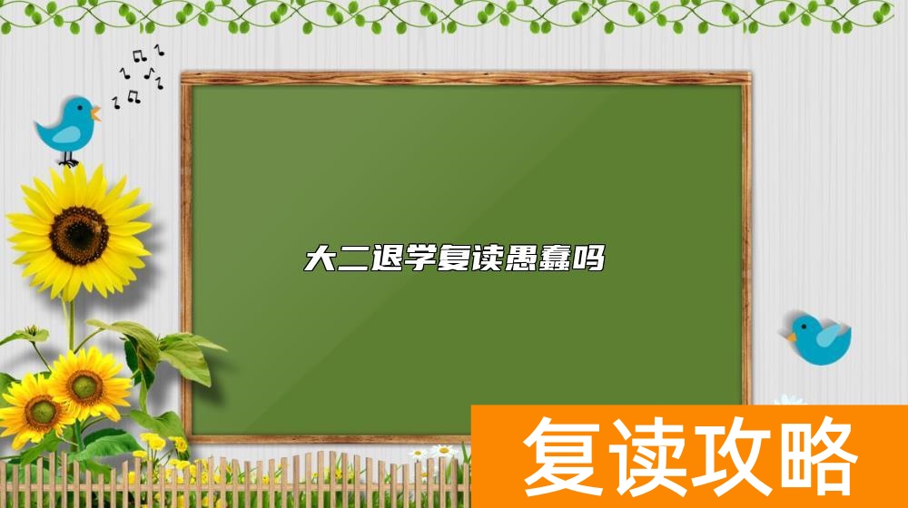 大二退学复读愚蠢吗